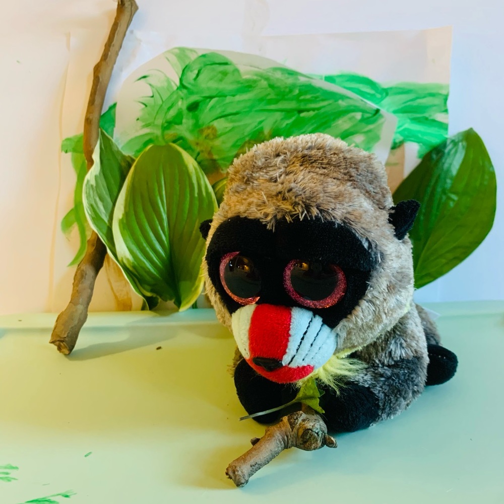 Beanie Boo Baboon named Wasabi looking for a new pad
